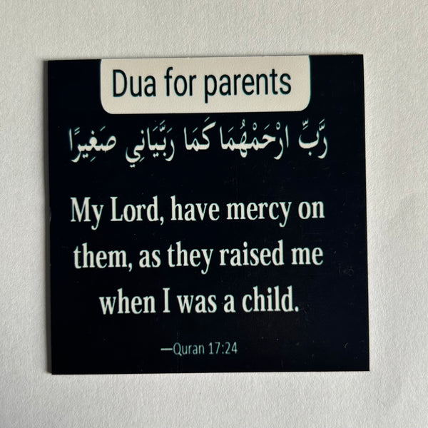 Dua Magnet