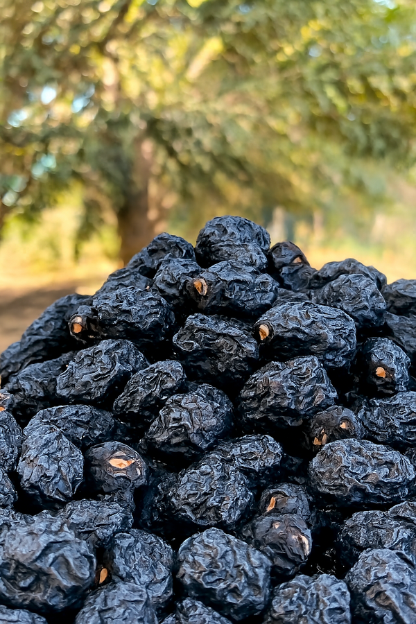 Ajwa Dates - Classic