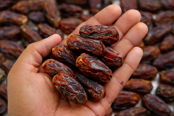 Mabroom Classic Date l تمر مبروم