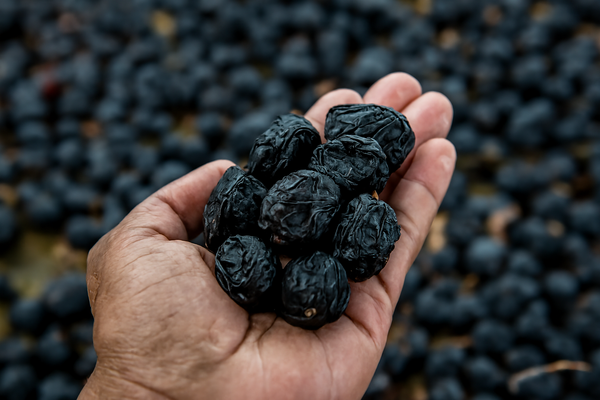 Ajwa Dates - Medium